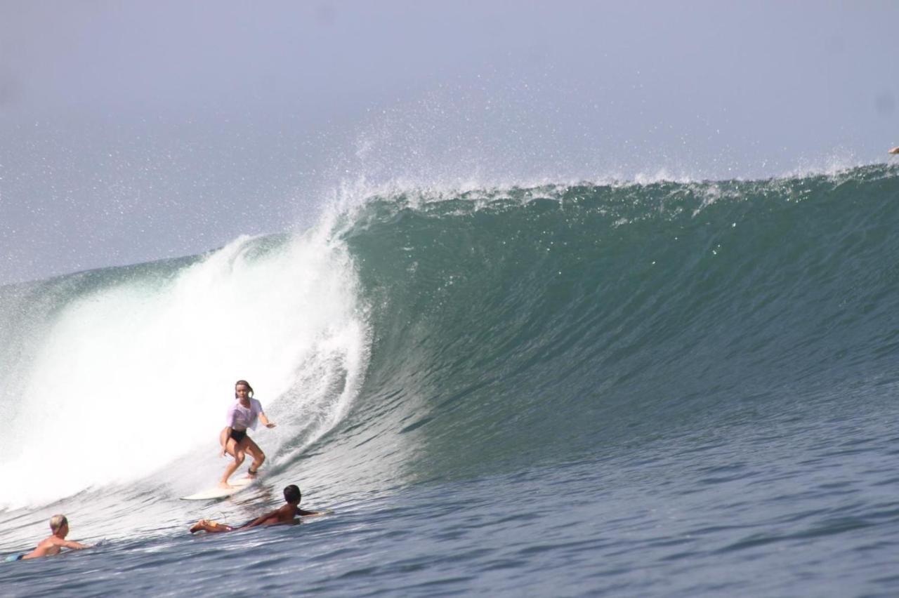 Medewi Secret Surfcamp Hotel Pulukan Kültér fotó